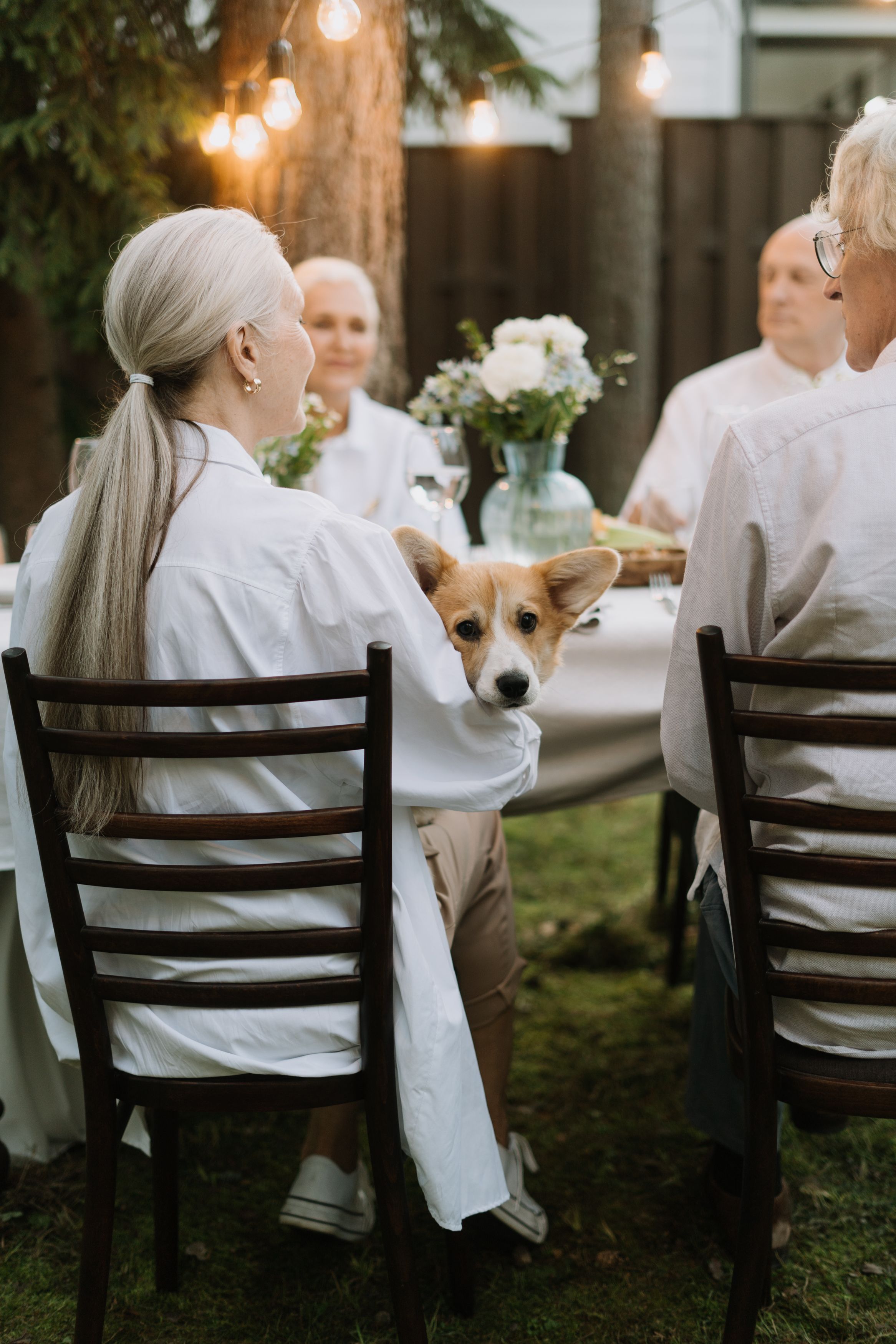 Can Pets Get the Evil Eye? A Greek Tradition of Protection