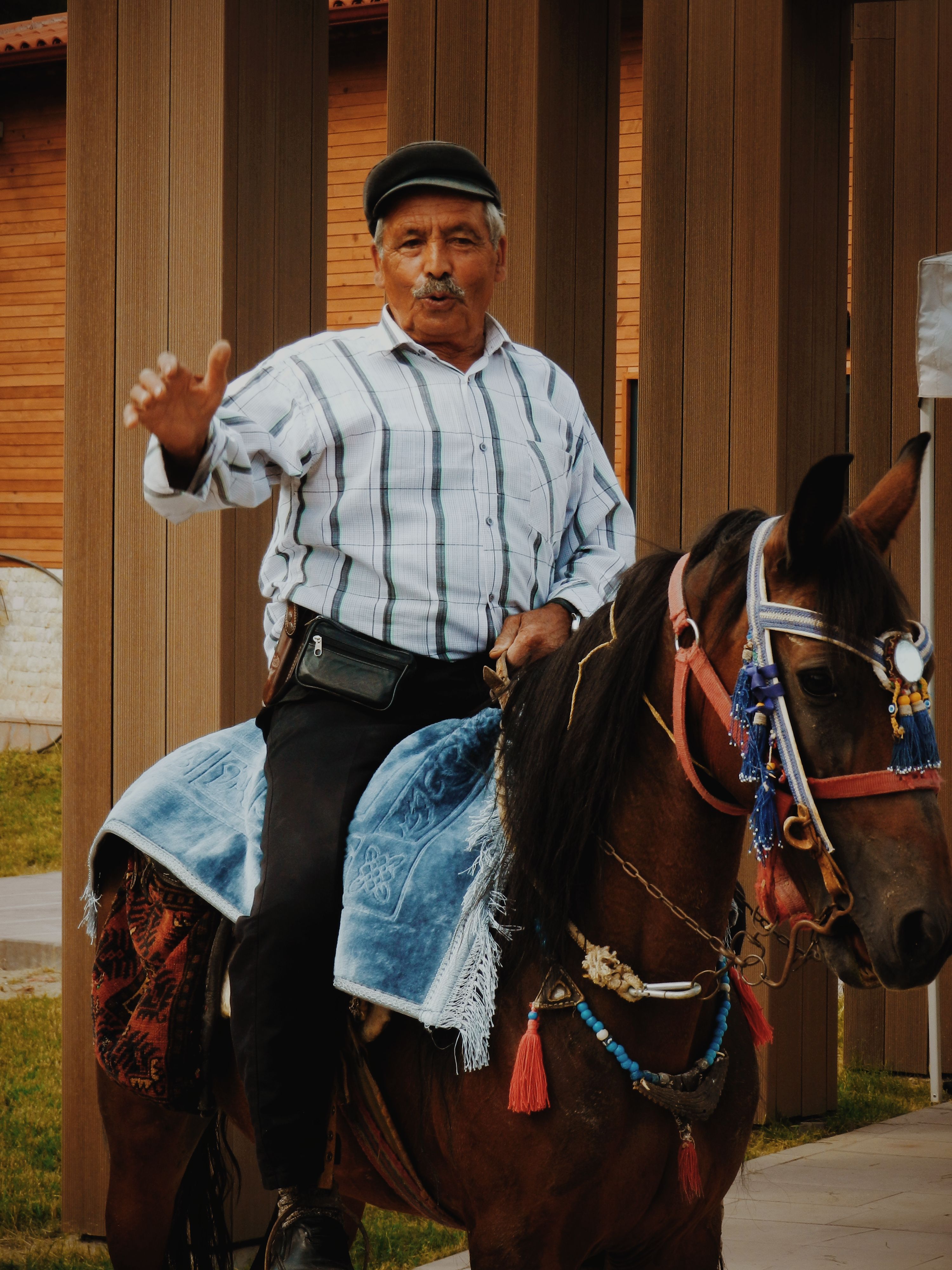 The Horse Everyone Wanted to See